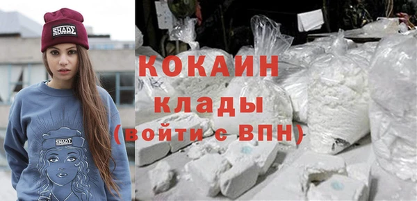 спайс Арсеньев