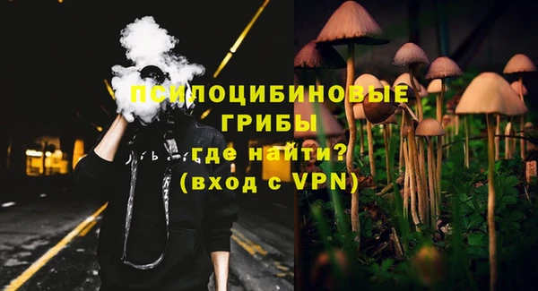 спайс Арсеньев