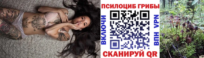 блэк спрут онион  магазин продажи наркотиков  Багратионовск  Галлюциногенные грибы GOLDEN TEACHER 